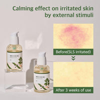 Round Lab - Mugwort Calming Serum 50ml