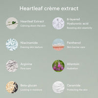 Abib - Heartleaf creme Calming tube 30ml