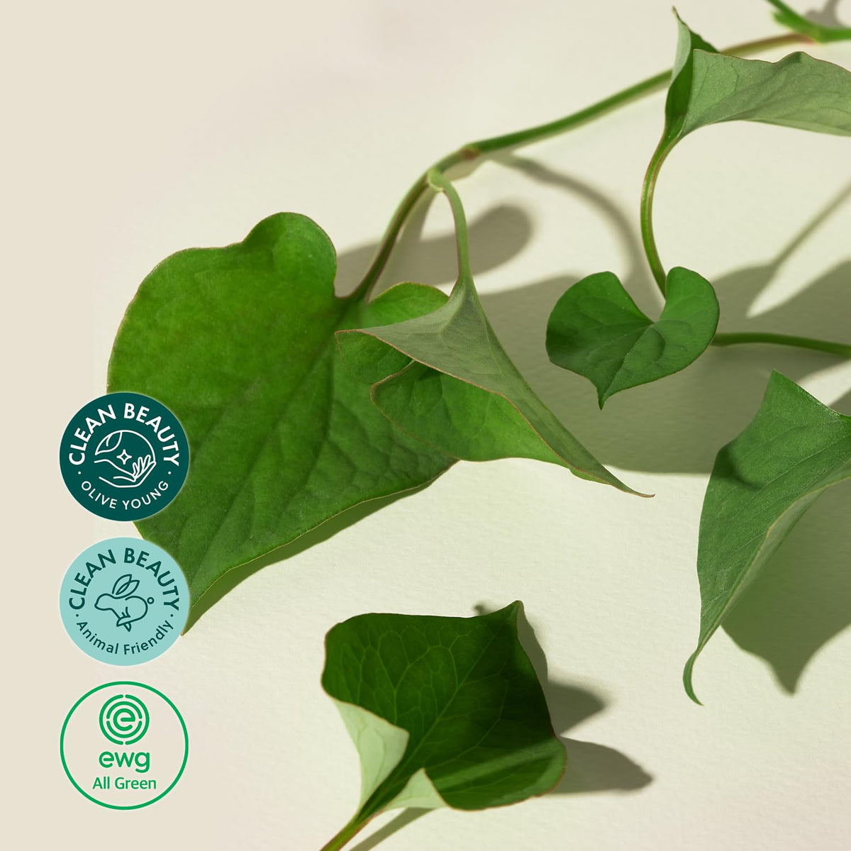 Mary & May - Houttuynia Cordata + Tea Tree Serum 30ml