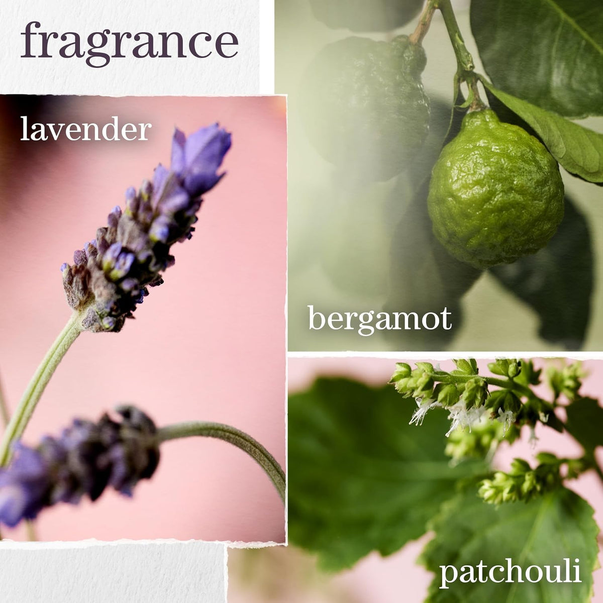 Pureology - Hydrate Shampoo 266ml