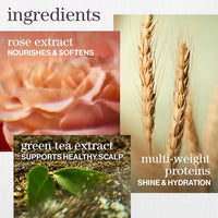 Pureology - Hydrate Shampoo 266ml