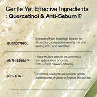 Anua - Heartleaf Quercetinol Pore Deep Cleansing Foam + BHA 150ml