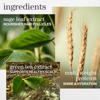 Pureology - Hydrate Conditioner 266ml