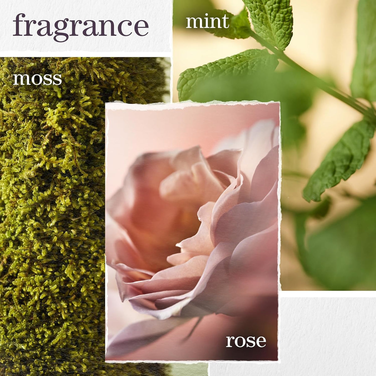 Pureology - Hydrate Conditioner 266ml