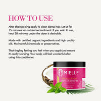 Mielle - Babassu Oil & Mint Deep Conditioner 227g