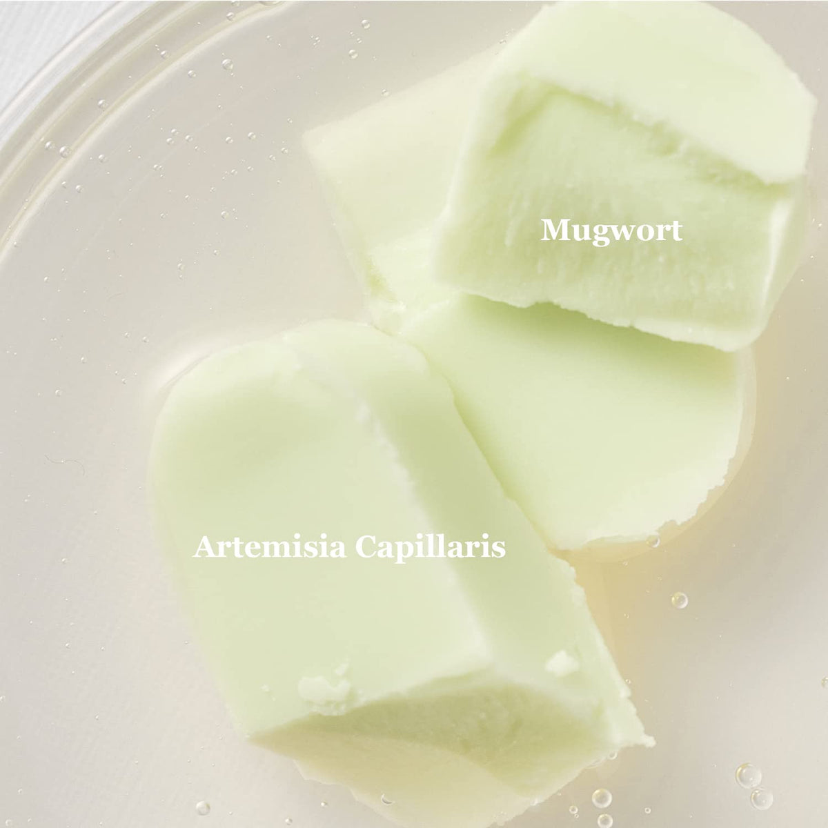 Beauty of Joseon - Matte Sun Stick Mugwort + Camelia 18g