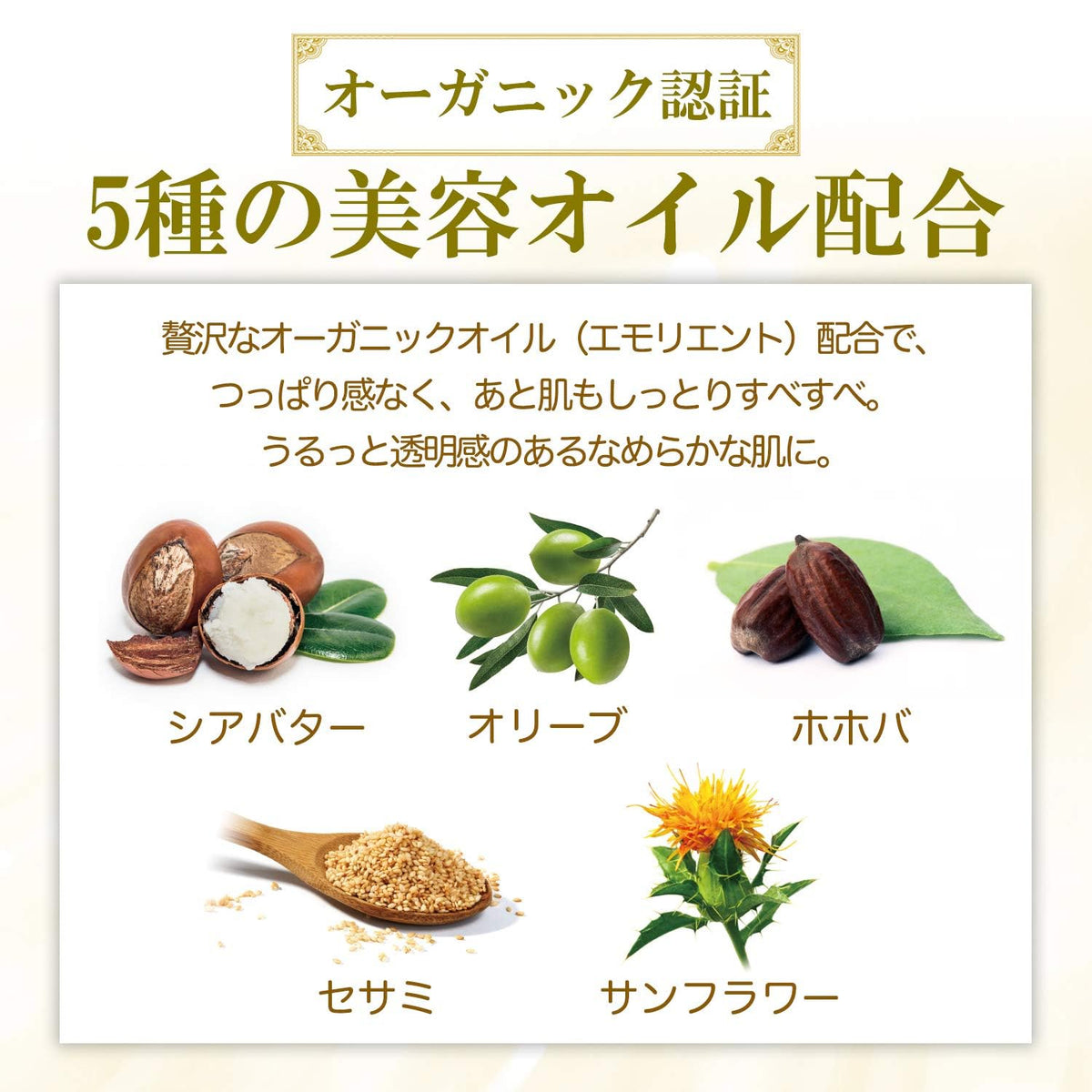 Kose Cosmeport - Softymo Speedy Cleansing  Oil 230ml