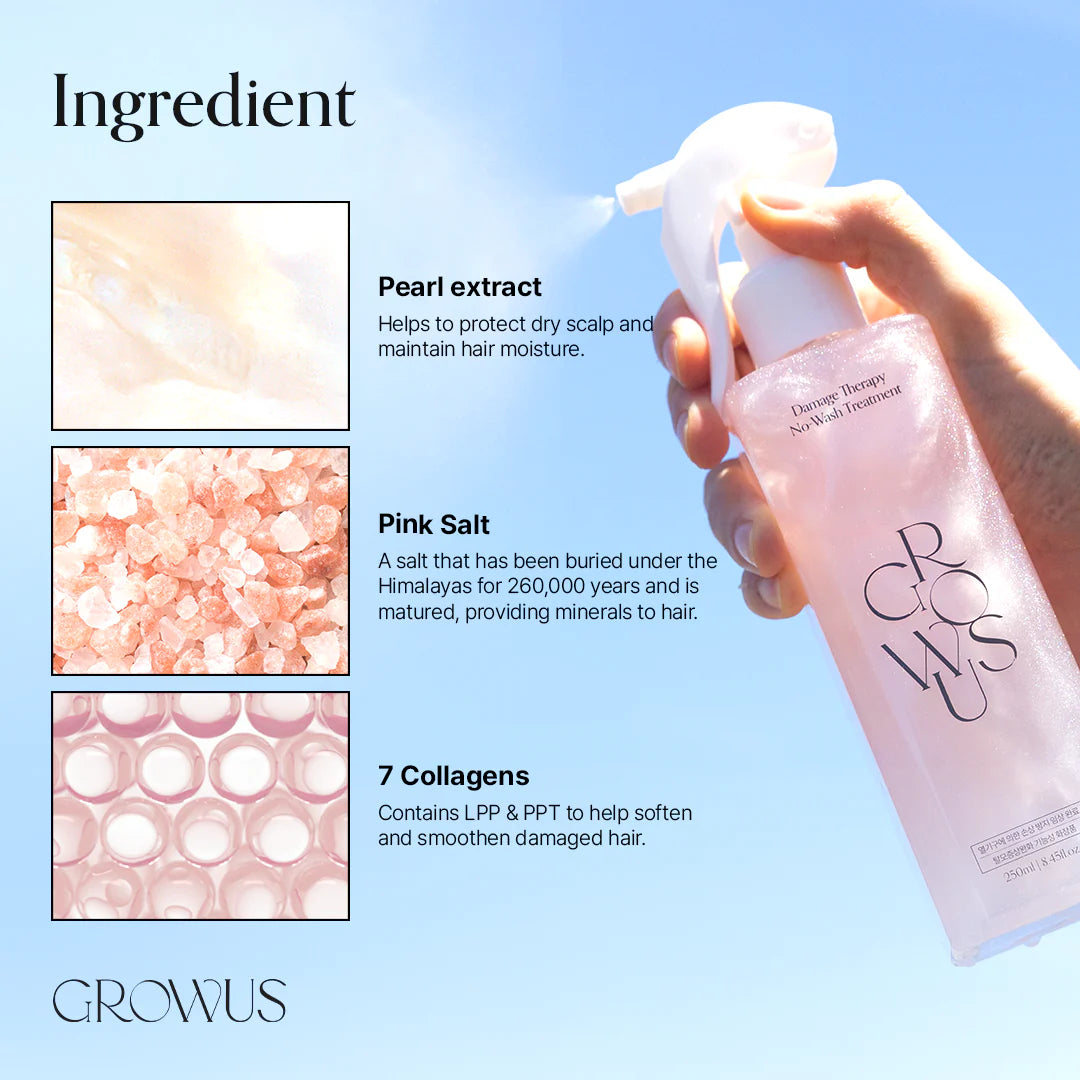Growus - Damage Therapy No-Wash Treatment EX 250ml - Due Rose