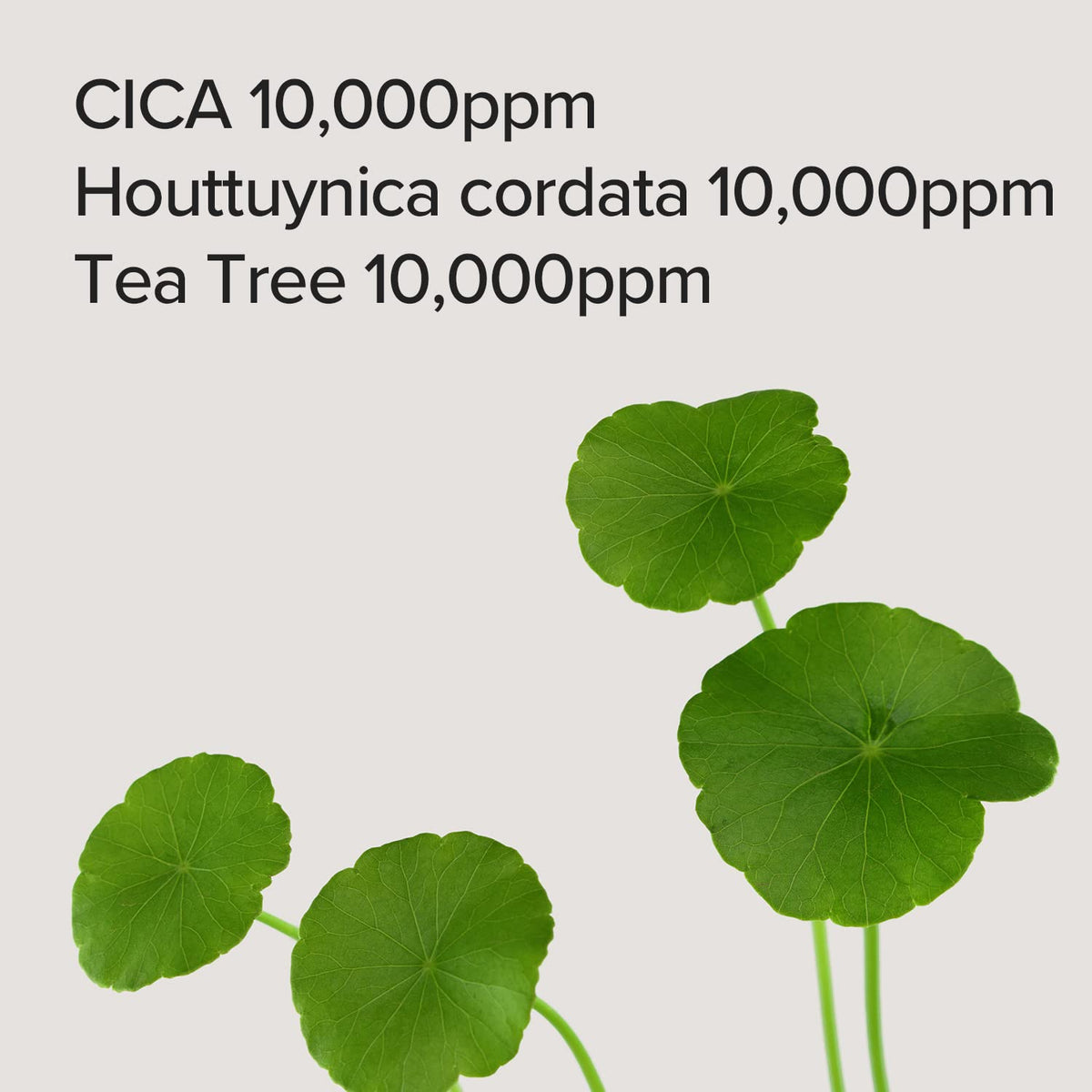 Mary & May - CICA Houttuynia Tea Tree Calming Mask 30ea