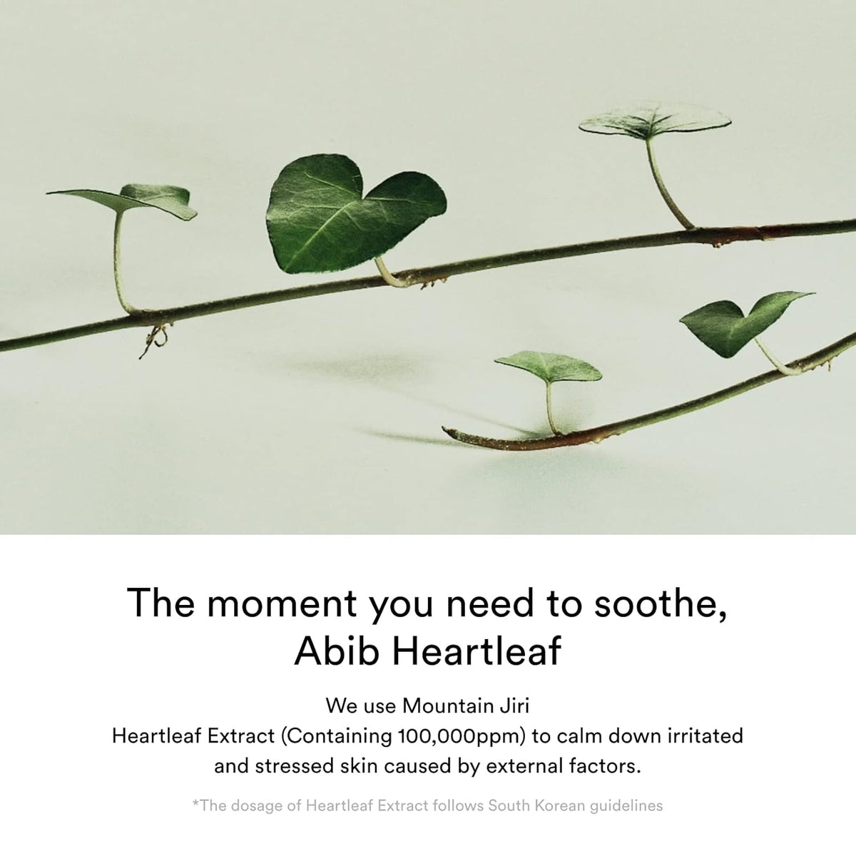 Abib - Heartleaf creme Calming tube 30ml