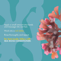 Mielle - Sea Moss Anti- Shedding Shampoo 236.6ml