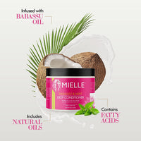 Mielle - Babassu Oil & Mint Deep Conditioner 227g