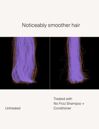 Living Proof - No Frizz Shampoo 236ml